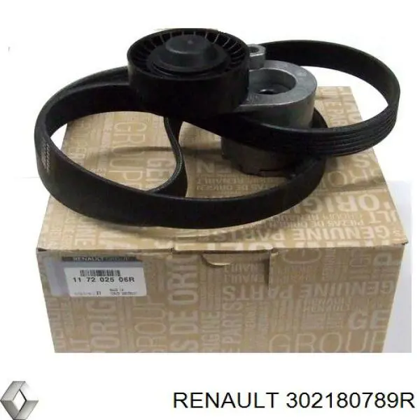 302180789R Renault (RVI)