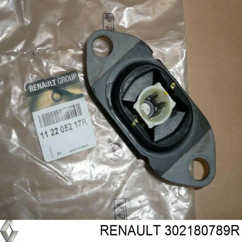 302180789R Renault (RVI) 