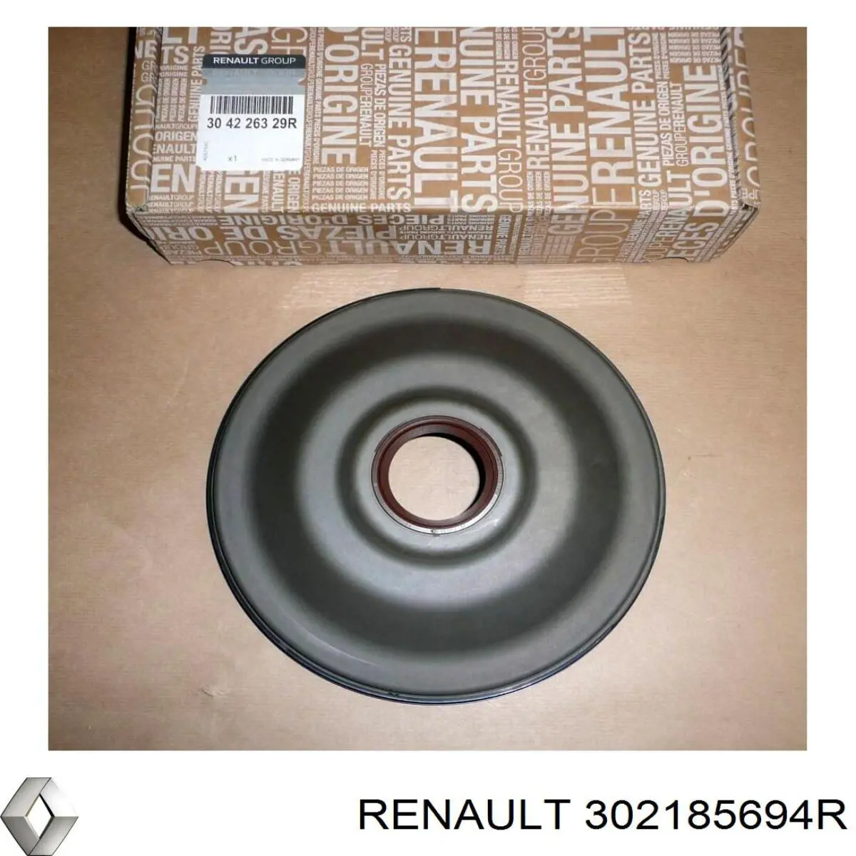  302185694R Renault (RVI)