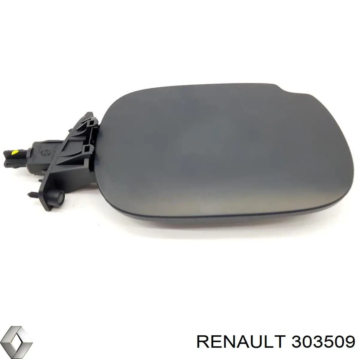  303509 Renault (RVI)
