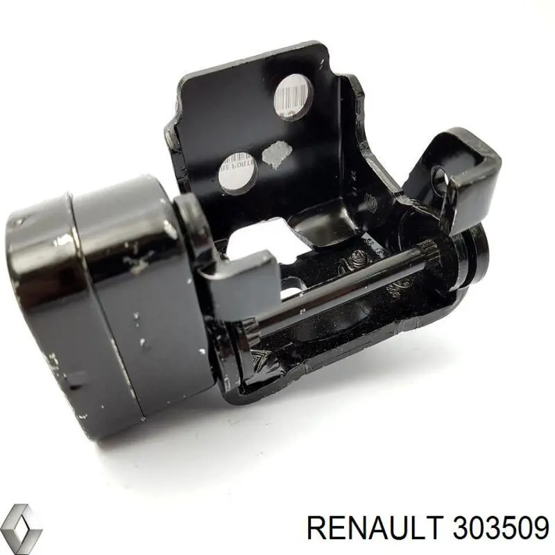 Купити 303509 Renault (RVI) 