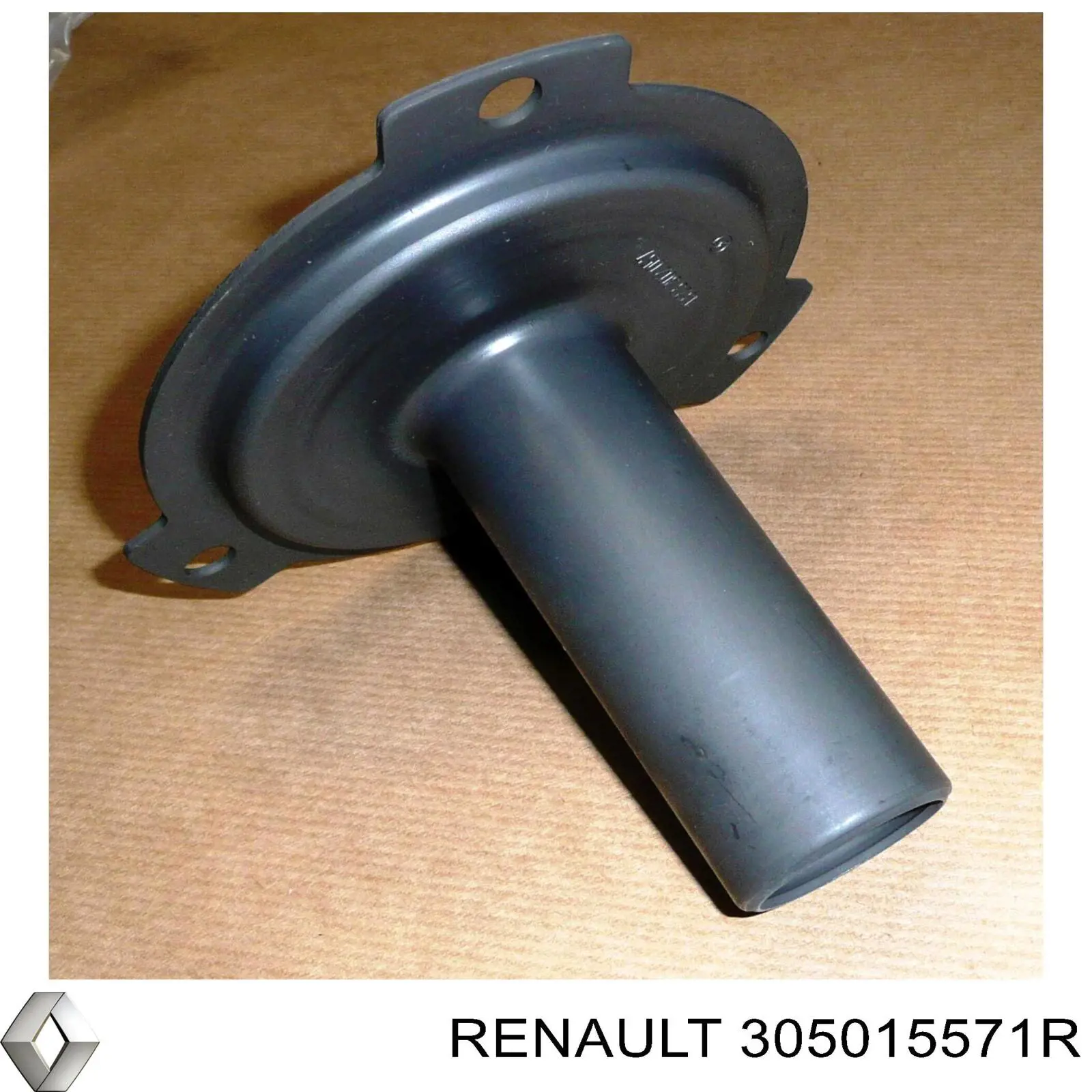  305015571R Renault (RVI)