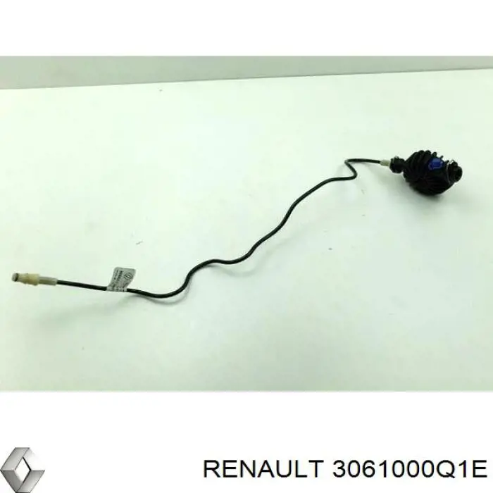 Головний циліндр зчеплення 3061000Q1E Renault (RVI)