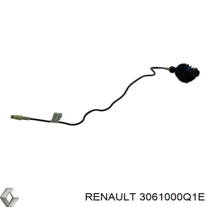 ГЦЗ Renault (RVI) 3061000Q1E ціна, від 60.10 USD