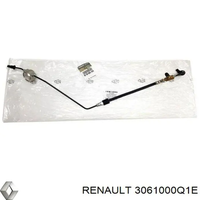 Купити 3061000Q1E Renault (RVI) Головний циліндр зчеплення