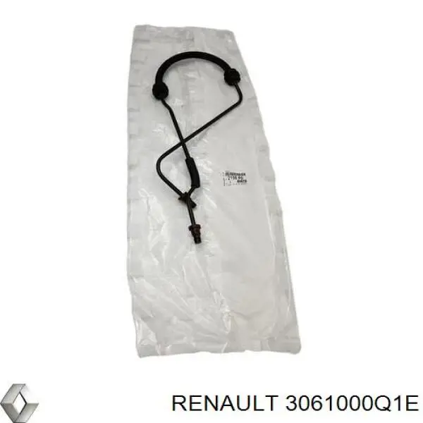 Головний циліндр зчеплення 3061000Q1E Renault (RVI)