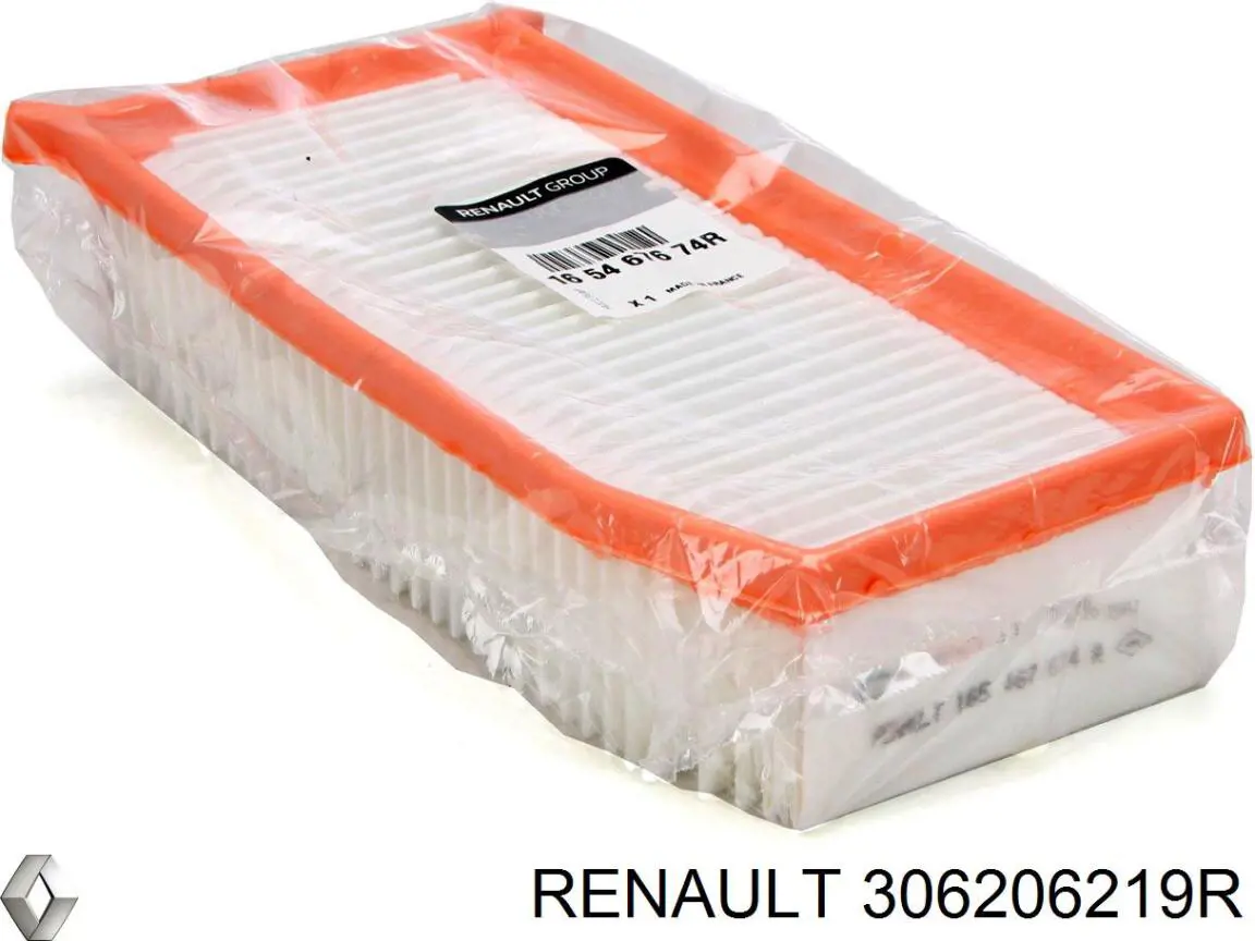 Робочий циліндр зчеплення в зборі з вижимним підшипником Renault (RVI) 306206219R