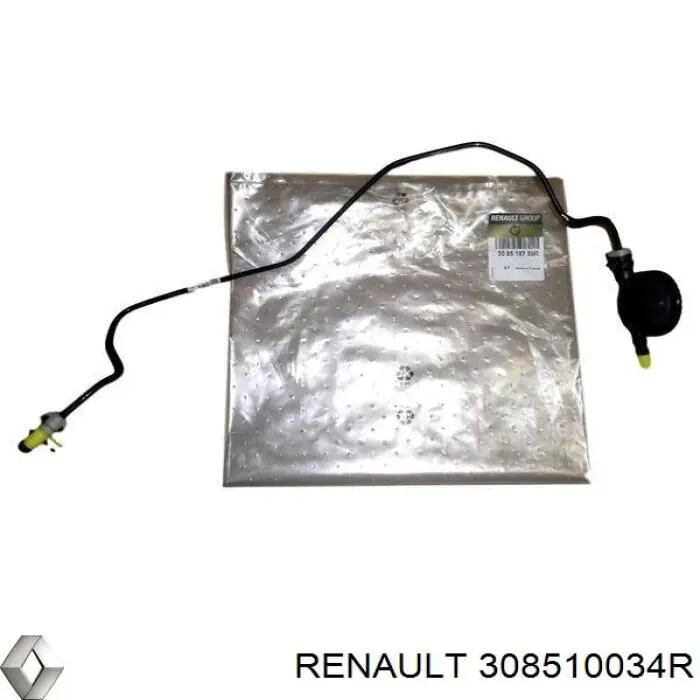 308510034R Renault (RVI) 
