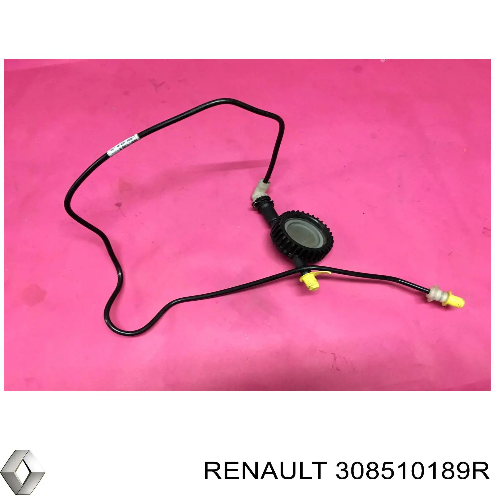 308510189R Renault (RVI) 
