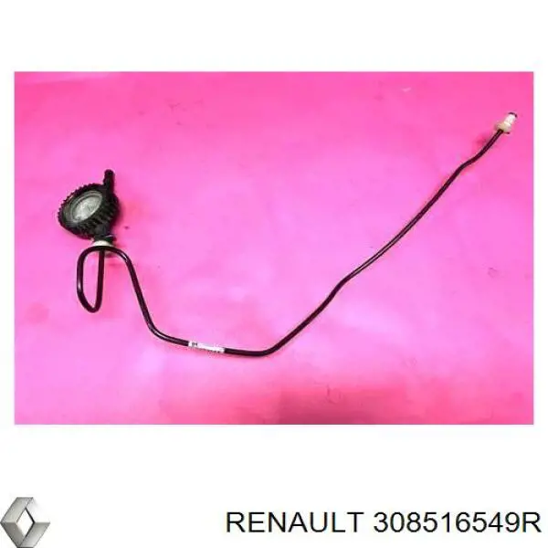 Шланг зчеплення Renault (RVI) 308516549R ціна, від 45.21 USD