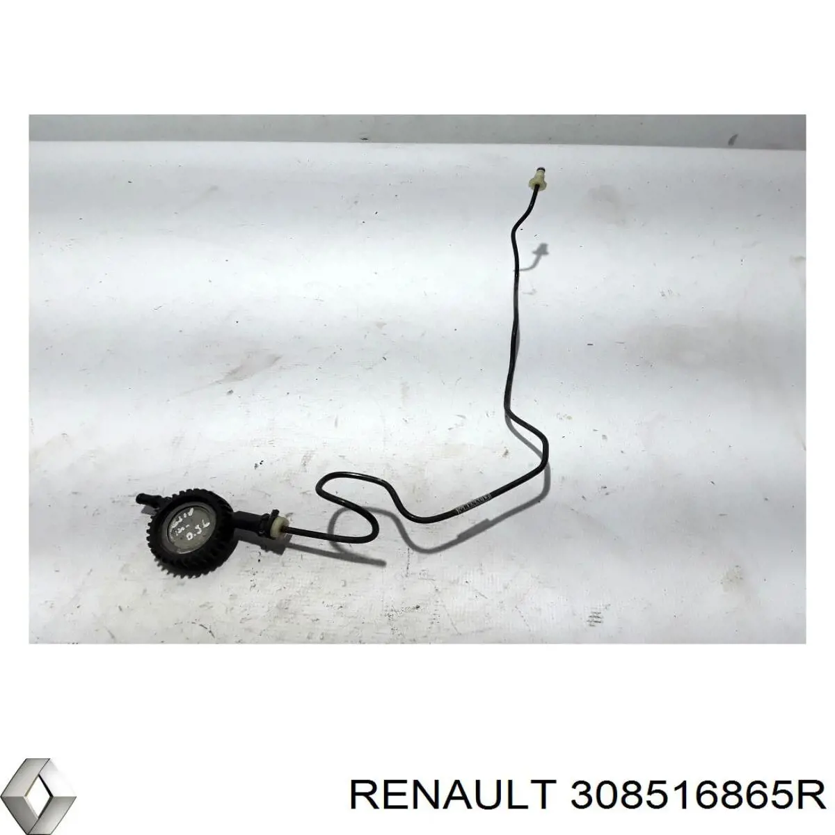 308516865R Renault (RVI) 