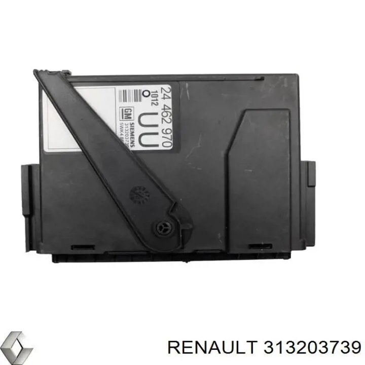  313203739 Renault (RVI)