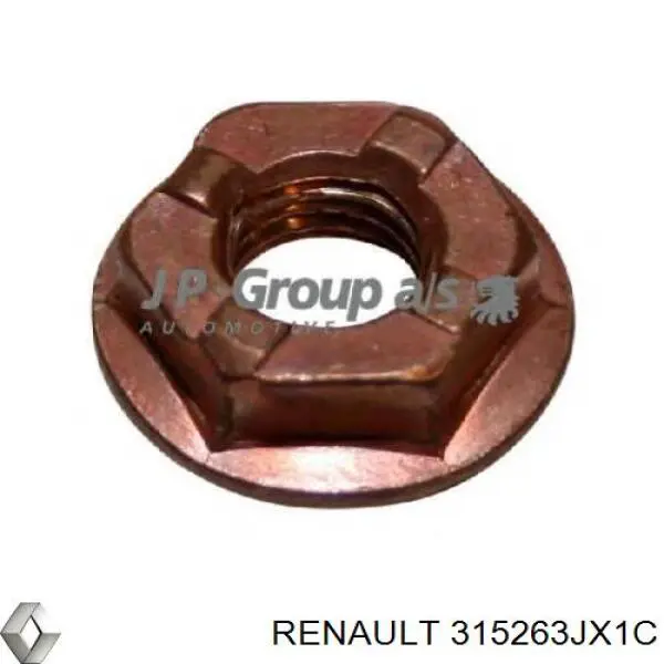 315263JX1C Renault (RVI) 