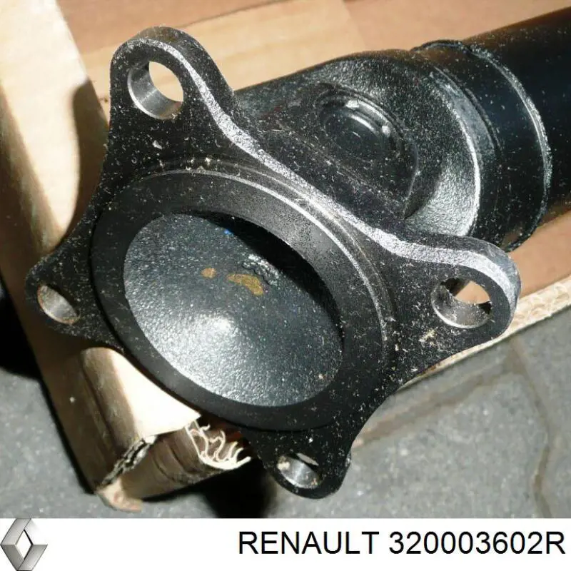 Купити 320003602R Renault (RVI) 