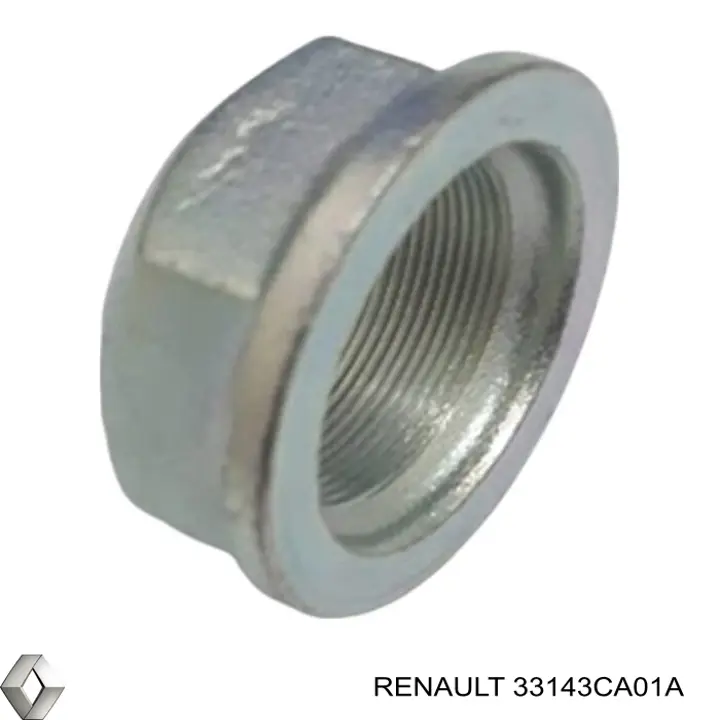 Купити 33143CA01A Renault (RVI) 