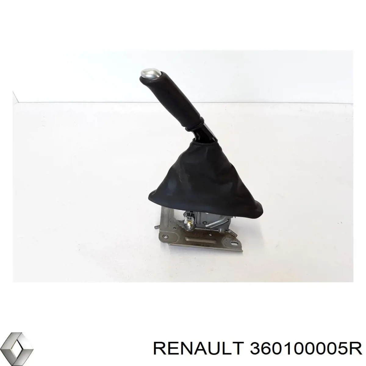  360100005R Renault (RVI)