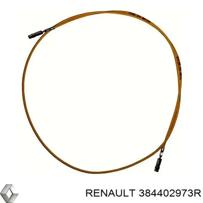 Купити 384402973R Renault (RVI) Підшипник роздавальної коробки, вхідної шестерні