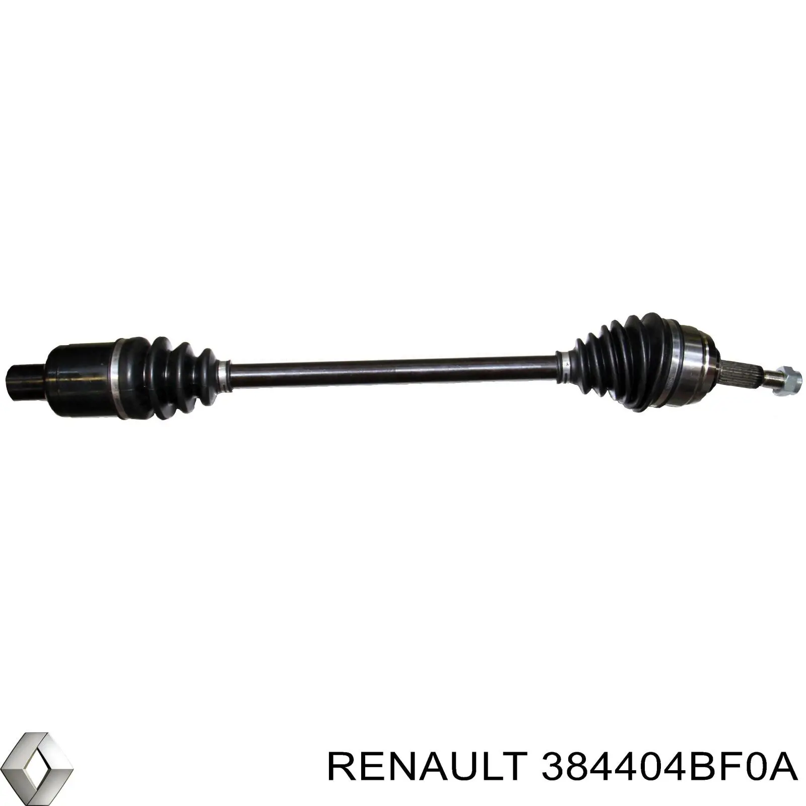 Підшипник диференціалу заднього моста Renault (RVI) 384404BF0A ціна, від 106.78 USD