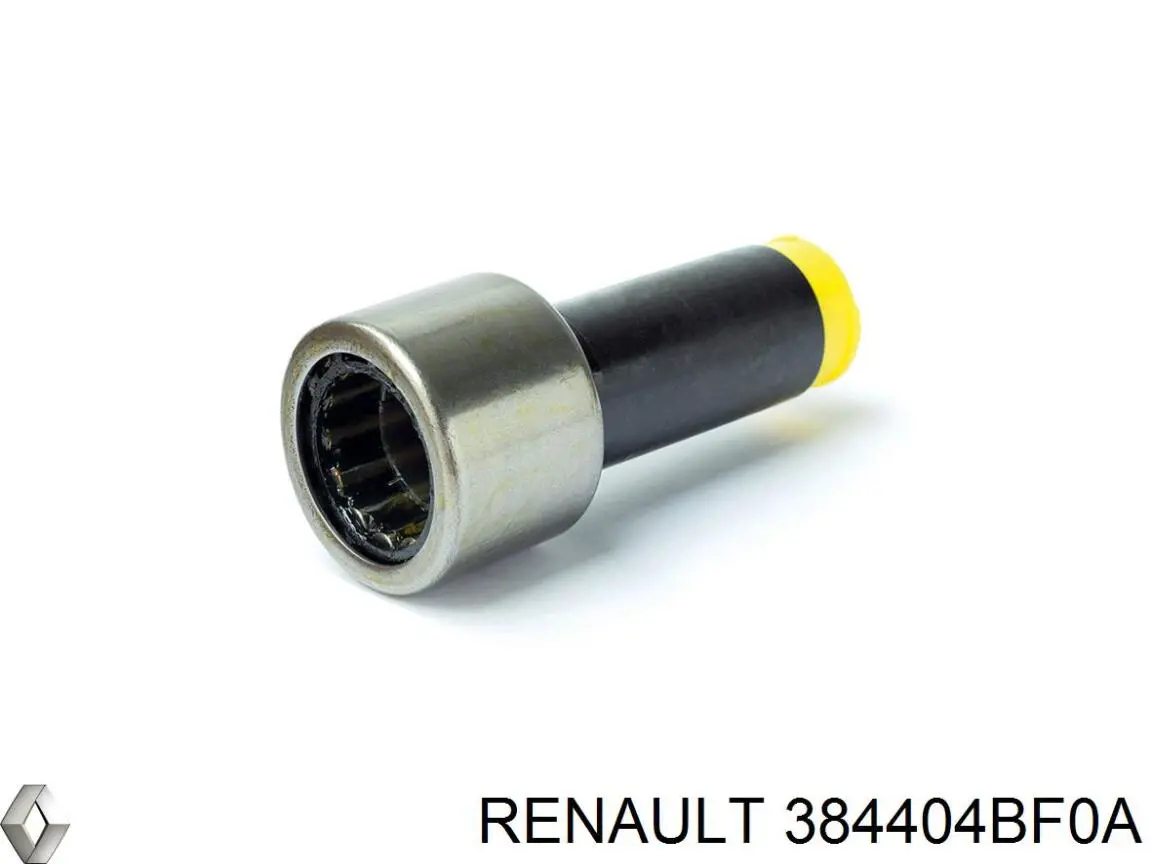 Підшипник диференціала заднього моста Renault (RVI) 384404BF0A