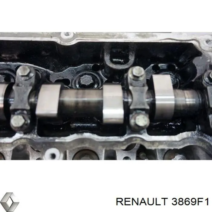  3869F1 Renault (RVI)