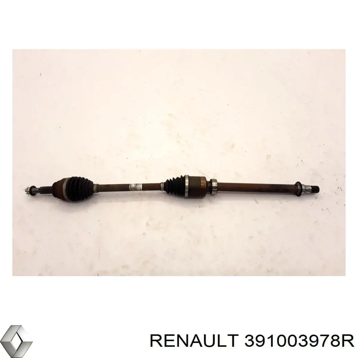 391003978R Renault (RVI) 