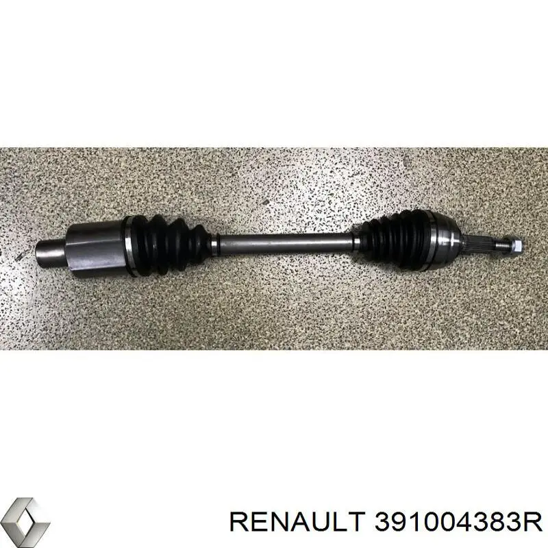  391004383R Renault (RVI)