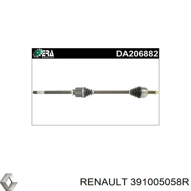  391005058R Renault (RVI)