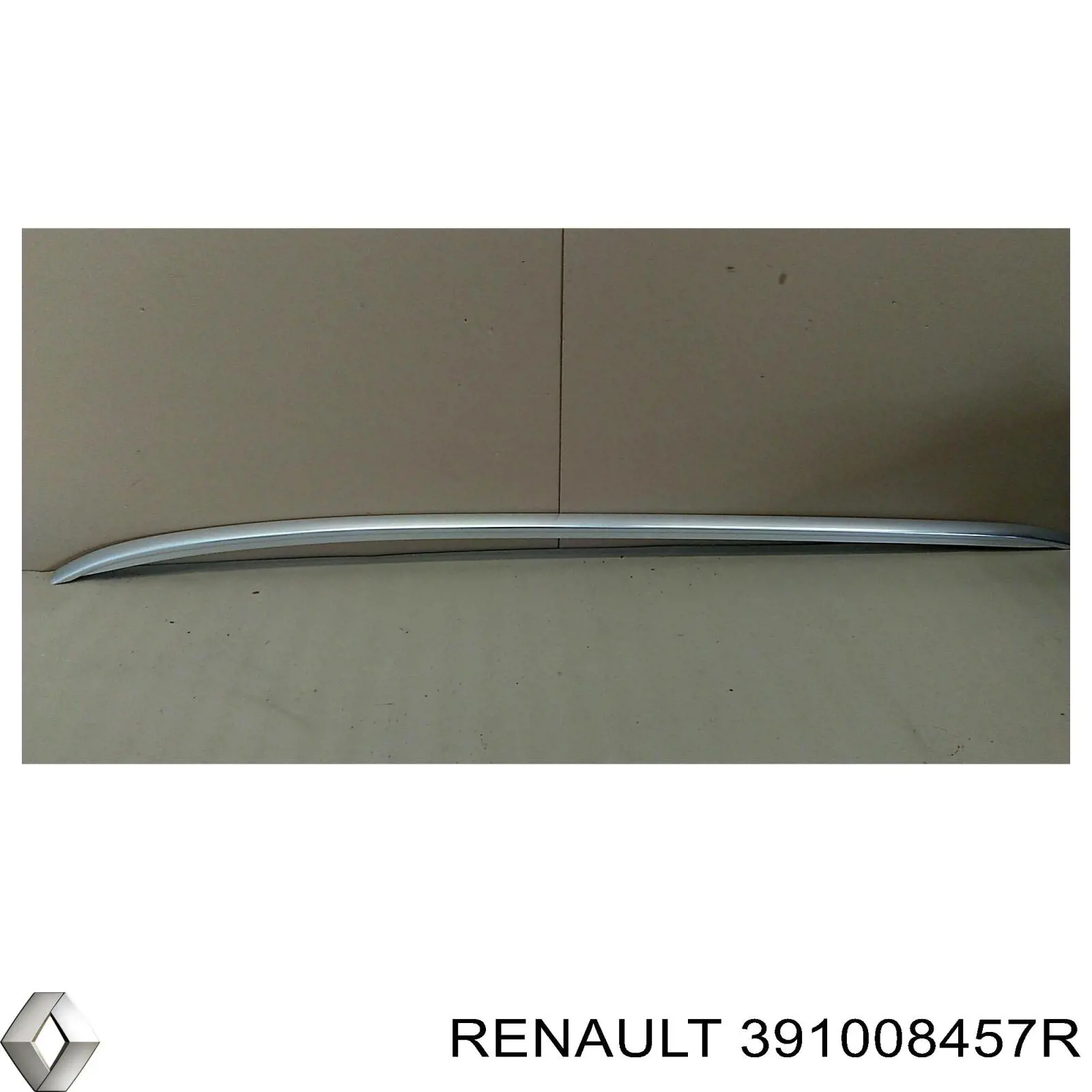  391008457R Renault (RVI)