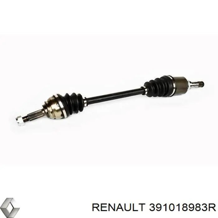 391018983R Renault (RVI) шрус зовнішній передній
