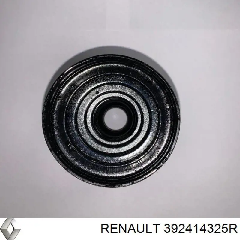 Купити 392414325R Renault (RVI) Пильник ШРКШ внутрішній, лівий