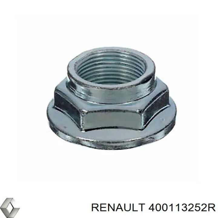 Купити 400113252R Renault (RVI) 