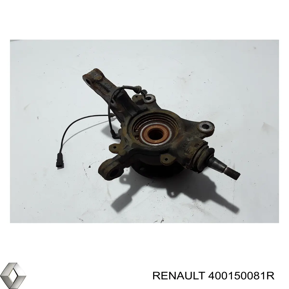 Цапфа поворотна ліва Renault (RVI) 400150081R ціна, від 63.98 USD