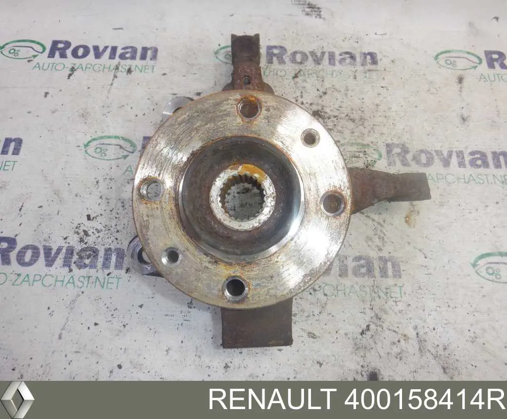 Цапфа поворотна ліва Renault (RVI) 400158414R ціна, від 46.88 USD