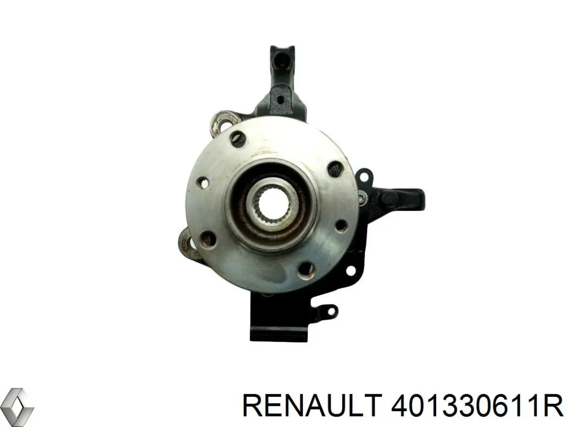 401330611R Renault (RVI) Кожух гальмівного диска