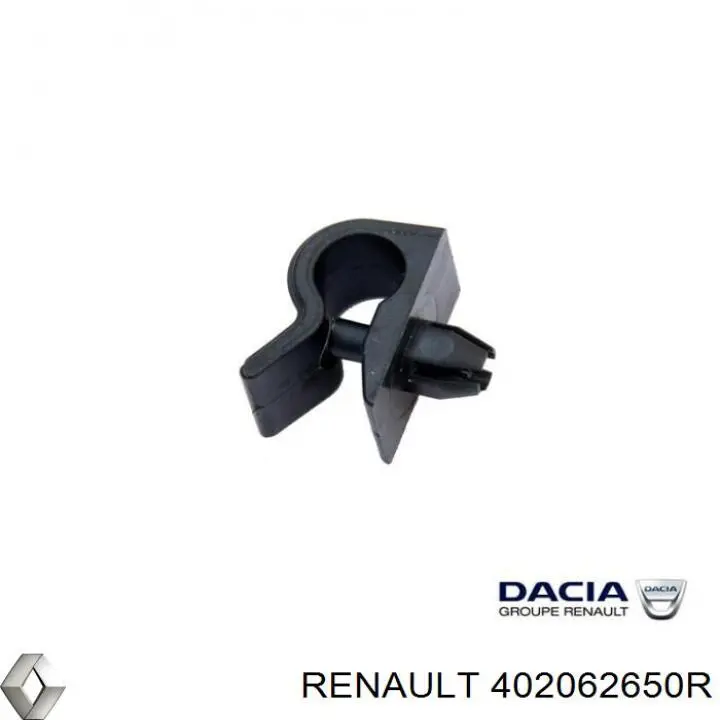 Диск гальмівний передній Renault (RVI) 402062650R
