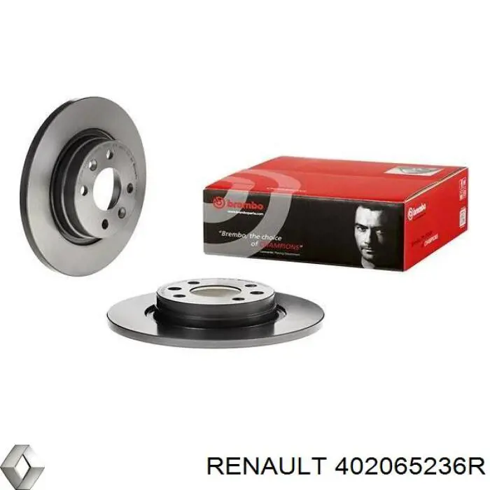 402065236R Renault (RVI) Гальмо дискове переднє