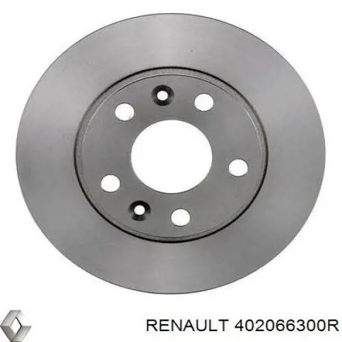 Диск переднього гальма Renault (RVI) 402066300R ціна, від 45.12 USD