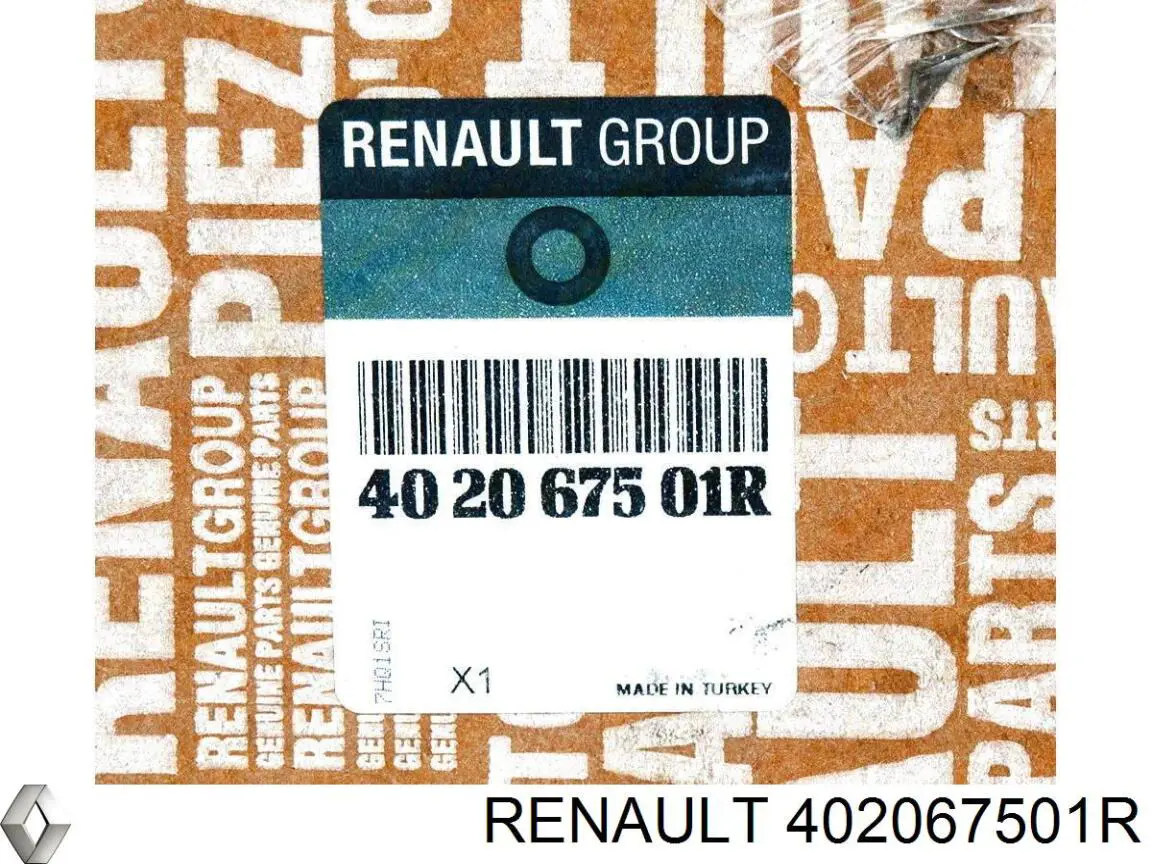 Купити 402067501R Renault (RVI) Ротор гальмівний