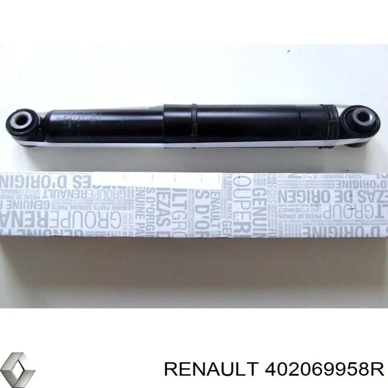 Диск переднього гальма Renault (RVI) 402069958R ціна, від 150.38 USD