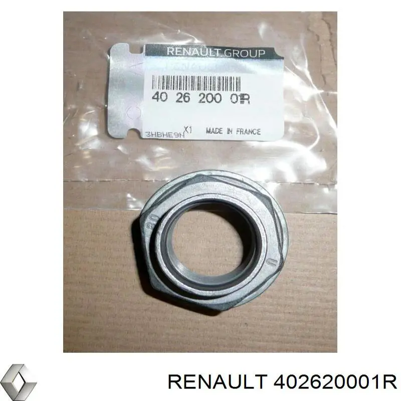  402620001R Renault (RVI)