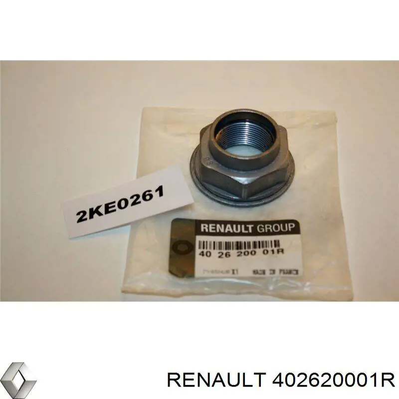 Купити 402620001R Renault (RVI) 
