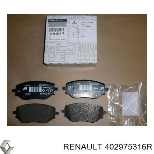 402975316R Renault (RVI) Гальмо дискове переднє