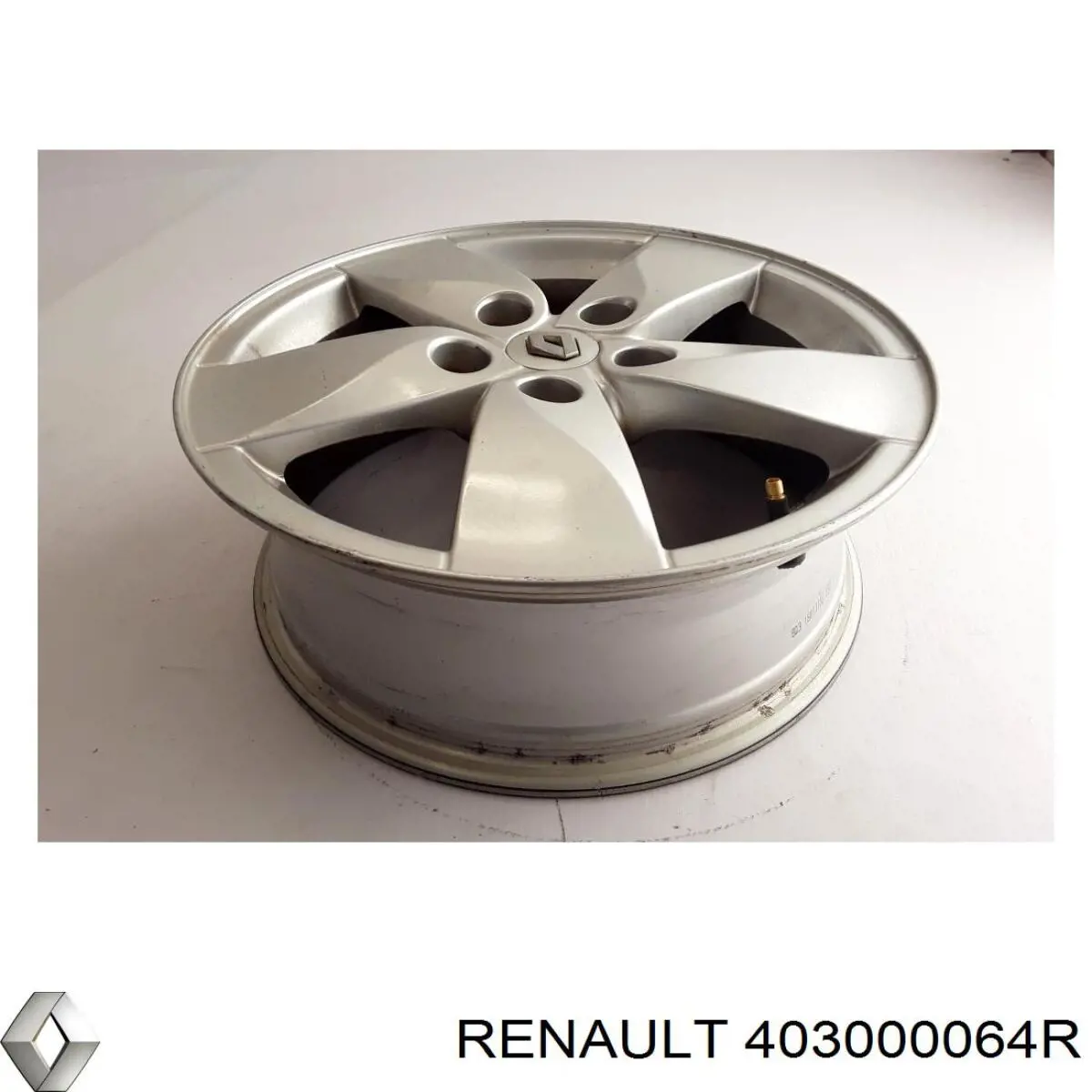  403000064R Renault (RVI)