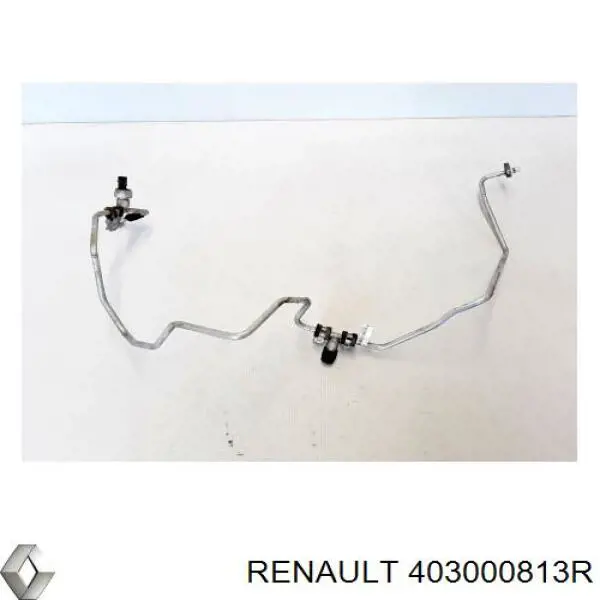 Купити 403006101R Renault (RVI) Диски колісні литі (легкосплавні, титанові)