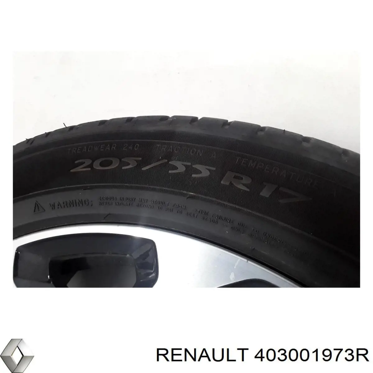 Купити 403001973R Renault (RVI) 