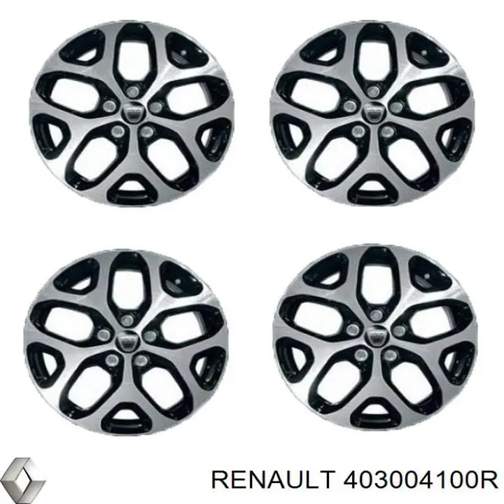 403004100R Renault (RVI) 