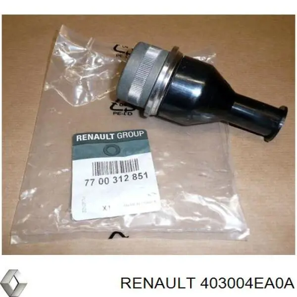  Renault (RVI) 403004EA0A