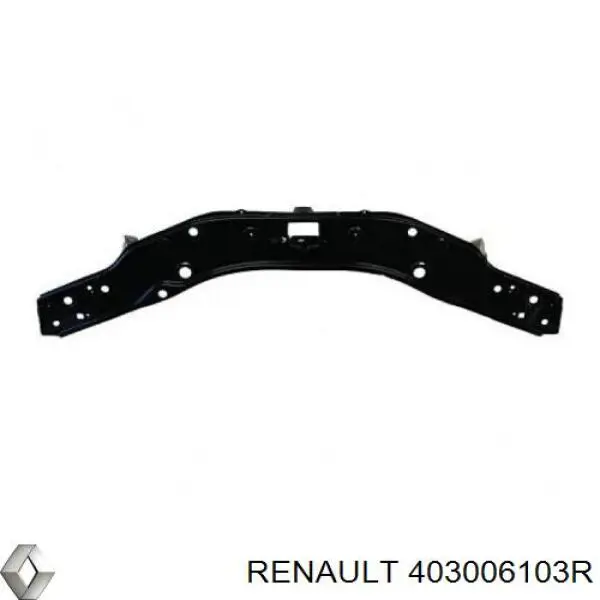 Купити 403006103R Renault (RVI) 