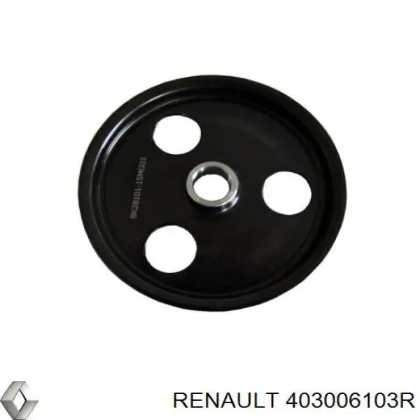  403006103R Renault (RVI)