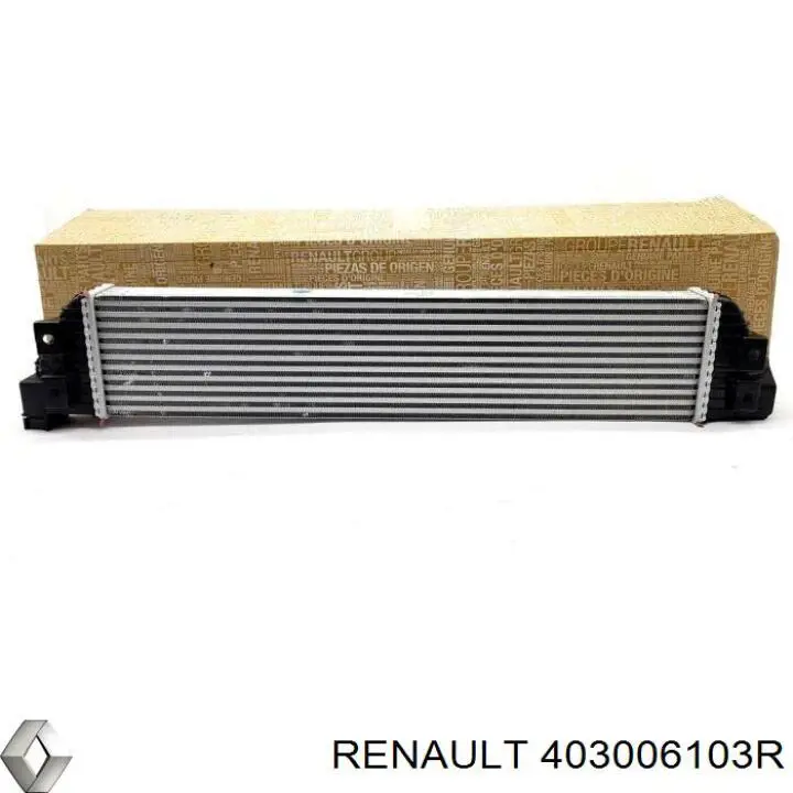  Renault (RVI) 403006103R ціна, від 132.88 USD